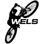 логотип wels
