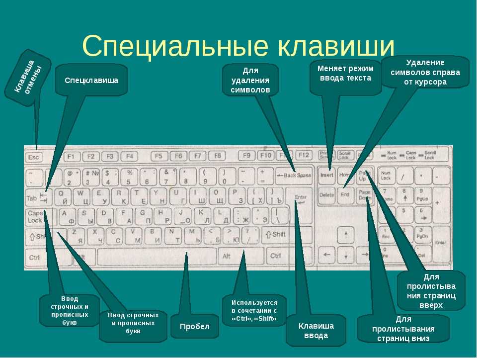 Какая клавиша позволяет нарисовать правильную фигуру