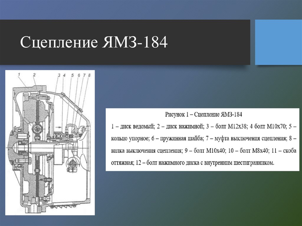 Сцепление ямз 184 схема