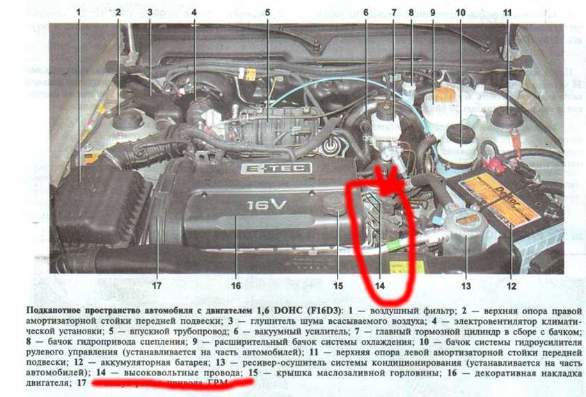 Где находится двигатель. Daewoo Nexia 16 клапанов двигатель схема. Схема моторного отсека Chevrolet lanos 1.5. Дэу Нексия система охлаждения 16 клапанная. ДВС Дэу Нексия 16 клапанов схема.