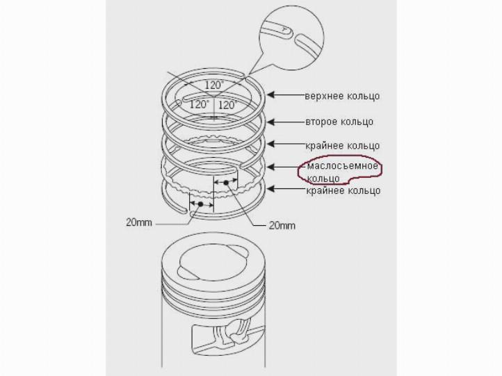 Как ставить кольца. Как ставить поршневые кольца на МТЗ 82. Кольца маслосъемные компрессор МТЗ-82. Расположение колец на поршне ТТР 250. Поршневые кольца маслосъемные на ТГА.