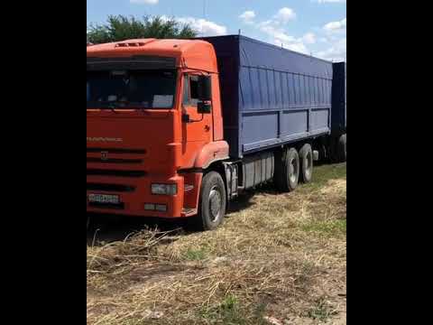 Зерновозы КамАЗ (Лайнеры на Погрузке) #PEREGRUZ