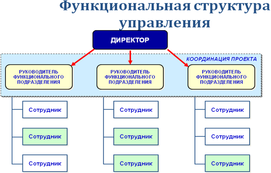 Система учреждений культуры. Функциональная структура управления. Функциональная структура управления предприятием. Функциональная структура управления схема. Функциональная организационная структура проектная структура.