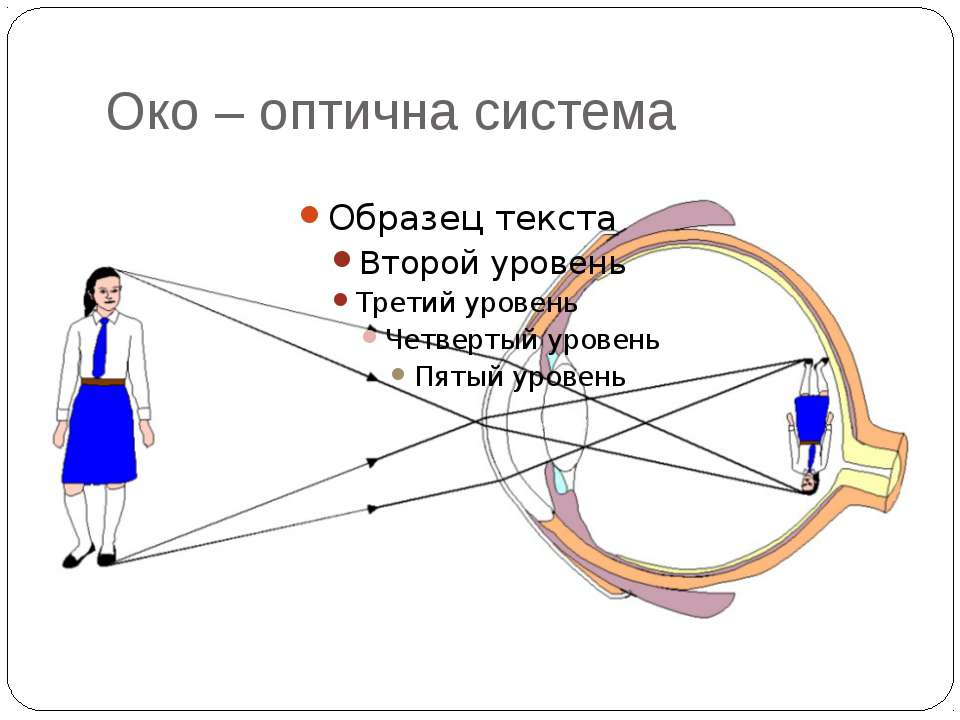 Система ока