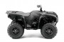 grizzly700eps-se.jpg